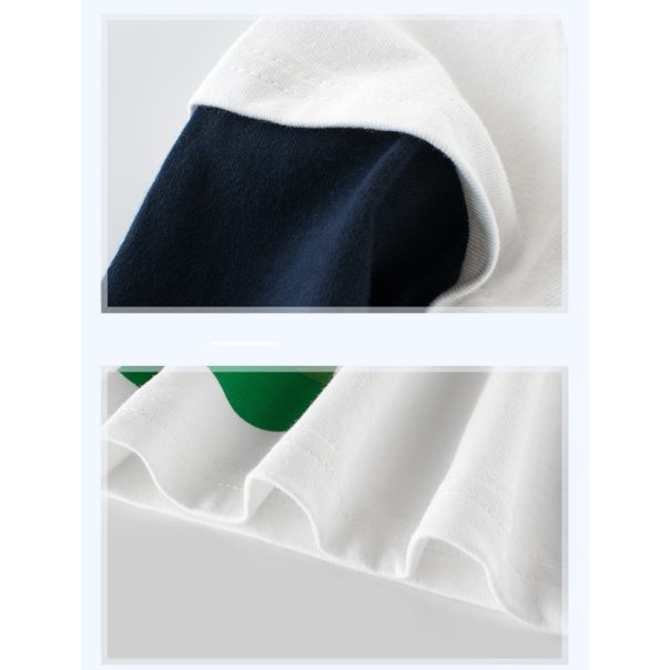 Bluzka dziecięca z długim rękawem Dinozaur – bawełniana koszulka LeAnKa